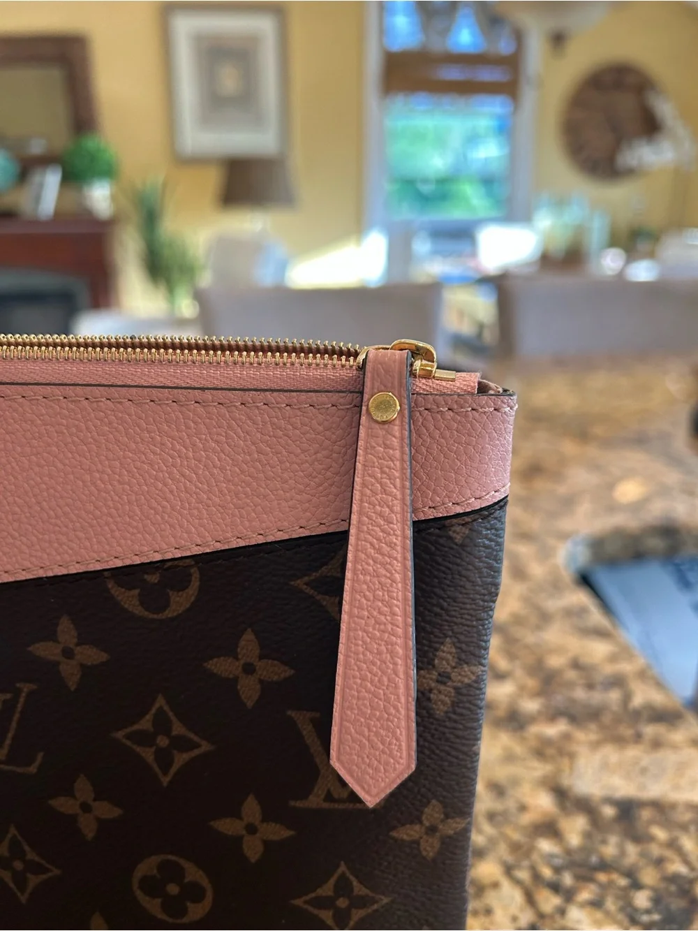 Louis Vuitton Monogram Canvas Pouch with Pink Trim - Picture 5 of 8